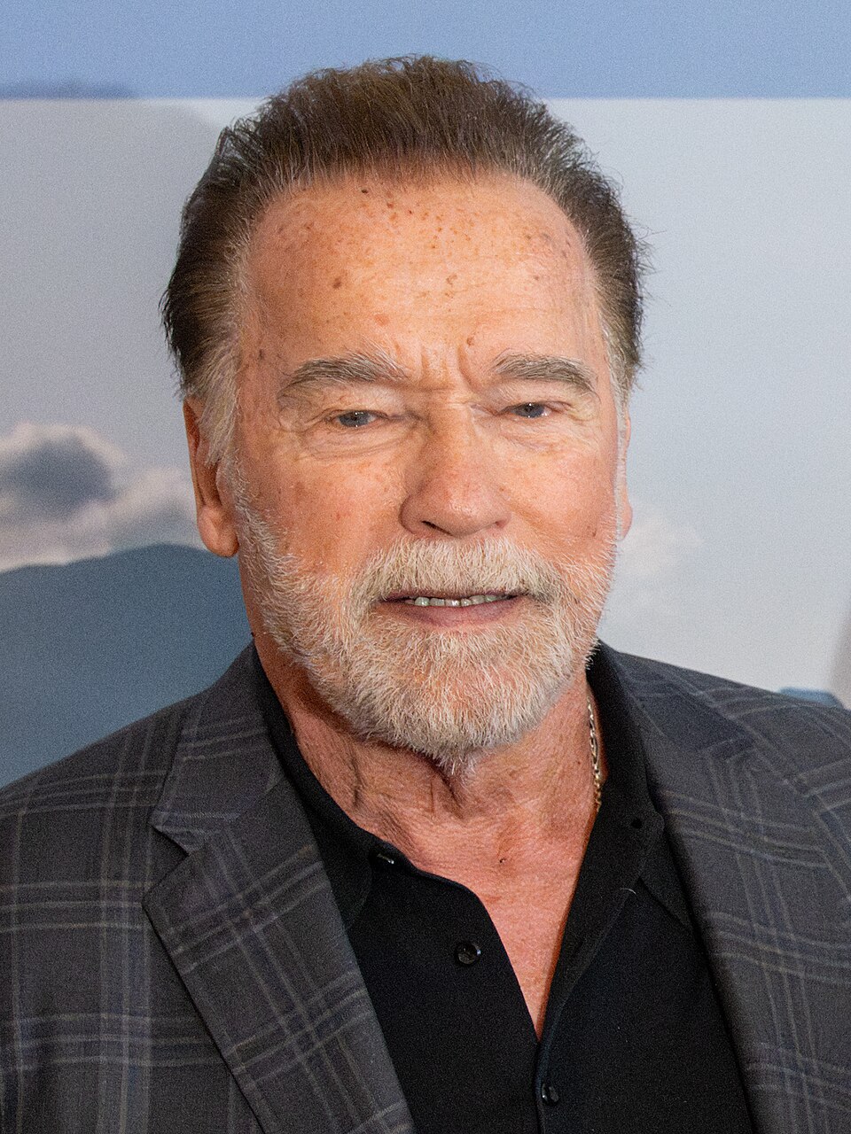 Arnold Schwarzenegger 2026 (heute)
