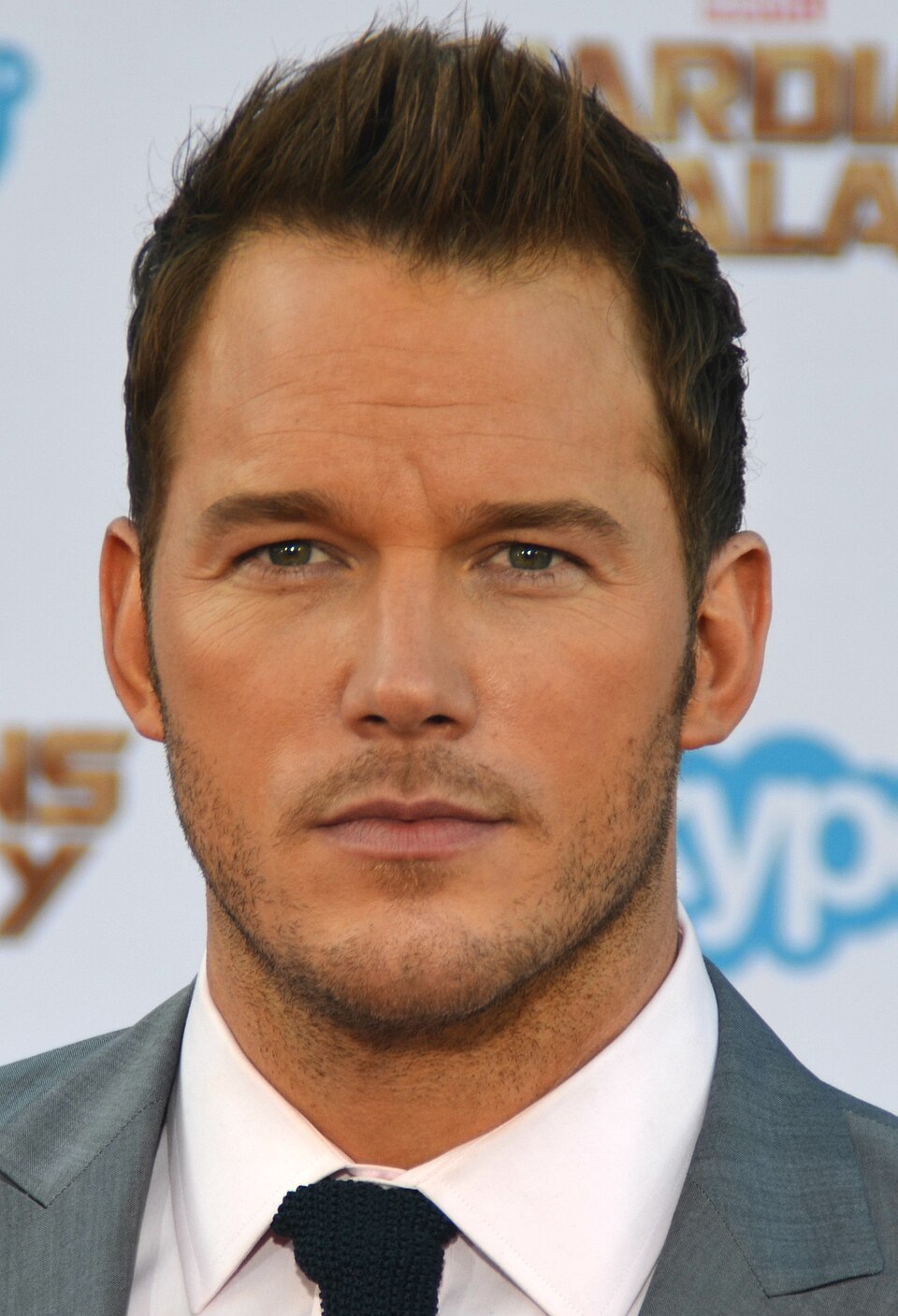 Chris Pratt 2014