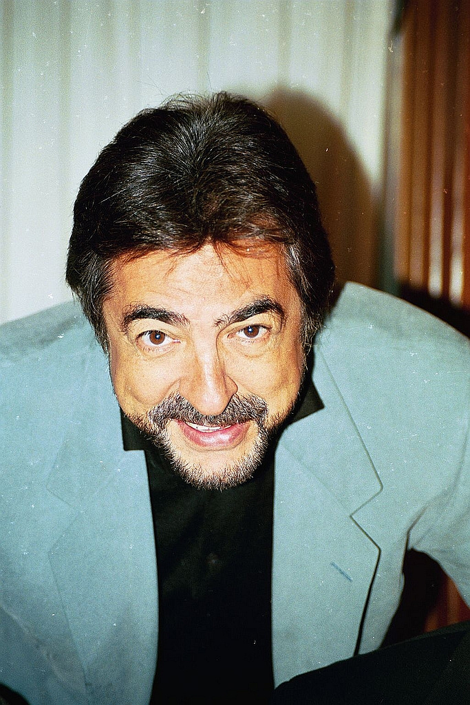 Joe Mantegna 2005 (jung)