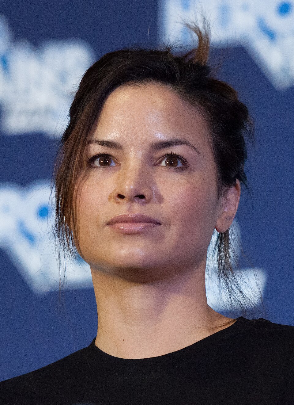 Katrina Law 2017