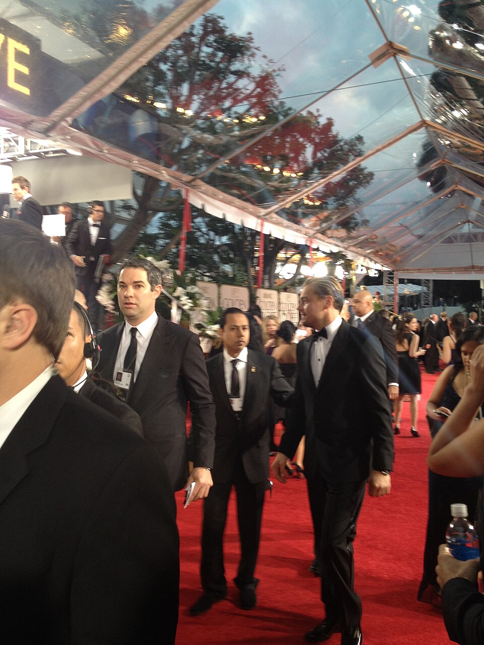 Leonardo DiCaprio 2012