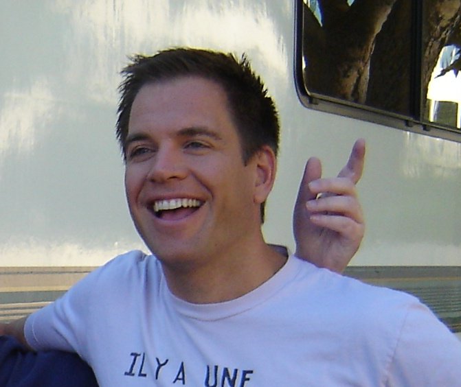 Michael Weatherly 2008 (jung)