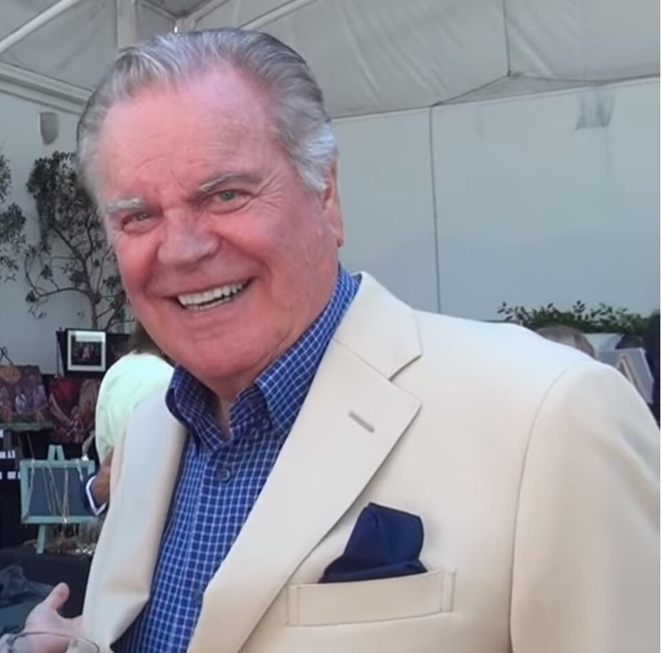 Robert Wagner 2013