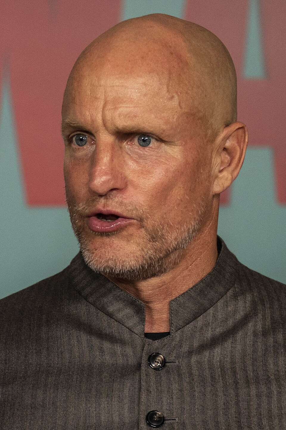 Woody Harrelson 2019