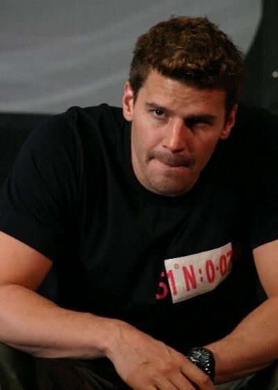 David Boreanaz 2004 (jung)