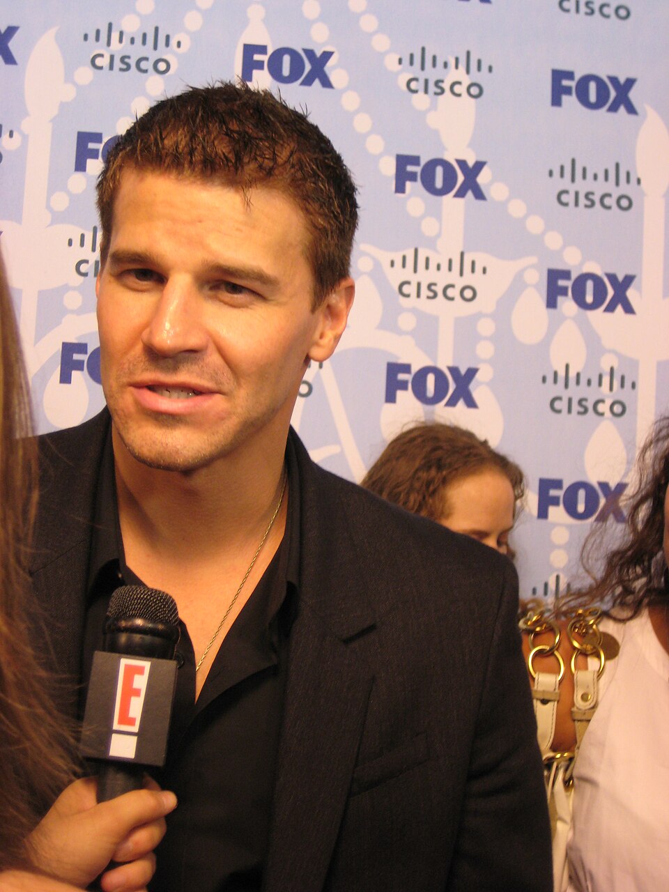 David Boreanaz 2008