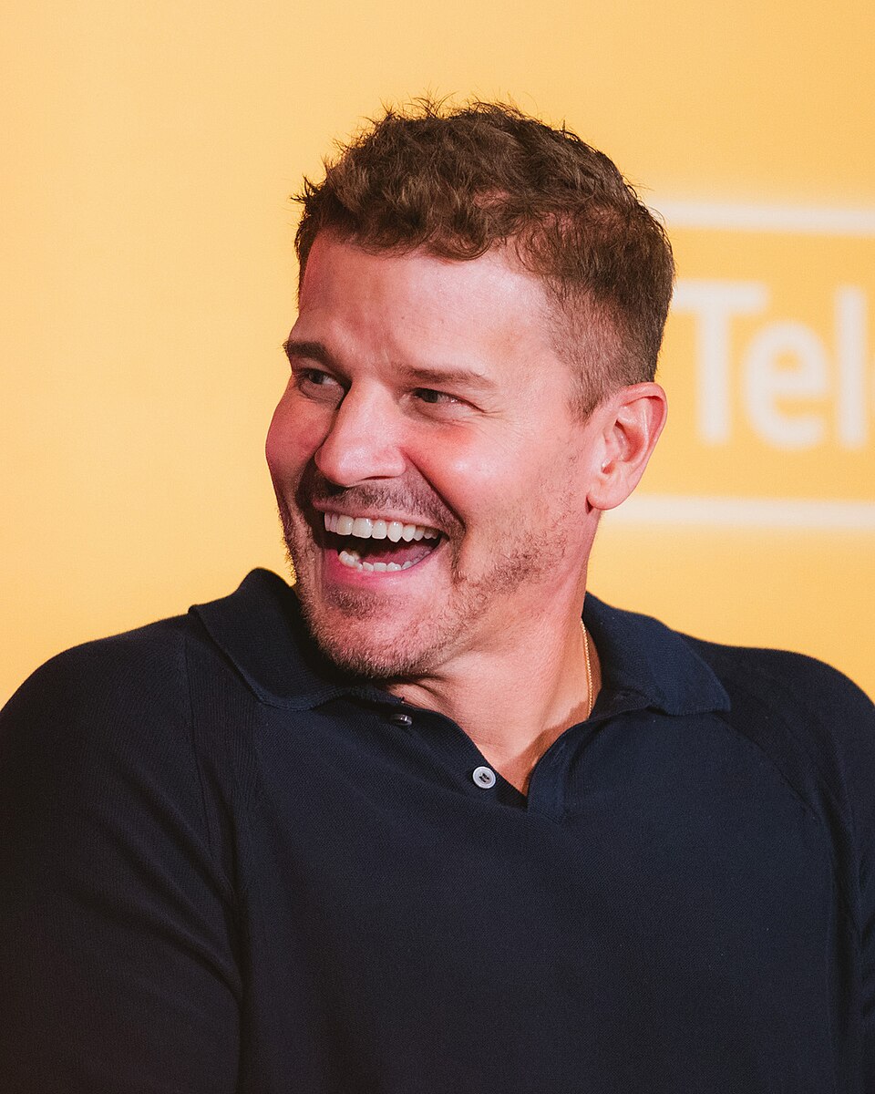 David Boreanaz 2025 (heute)