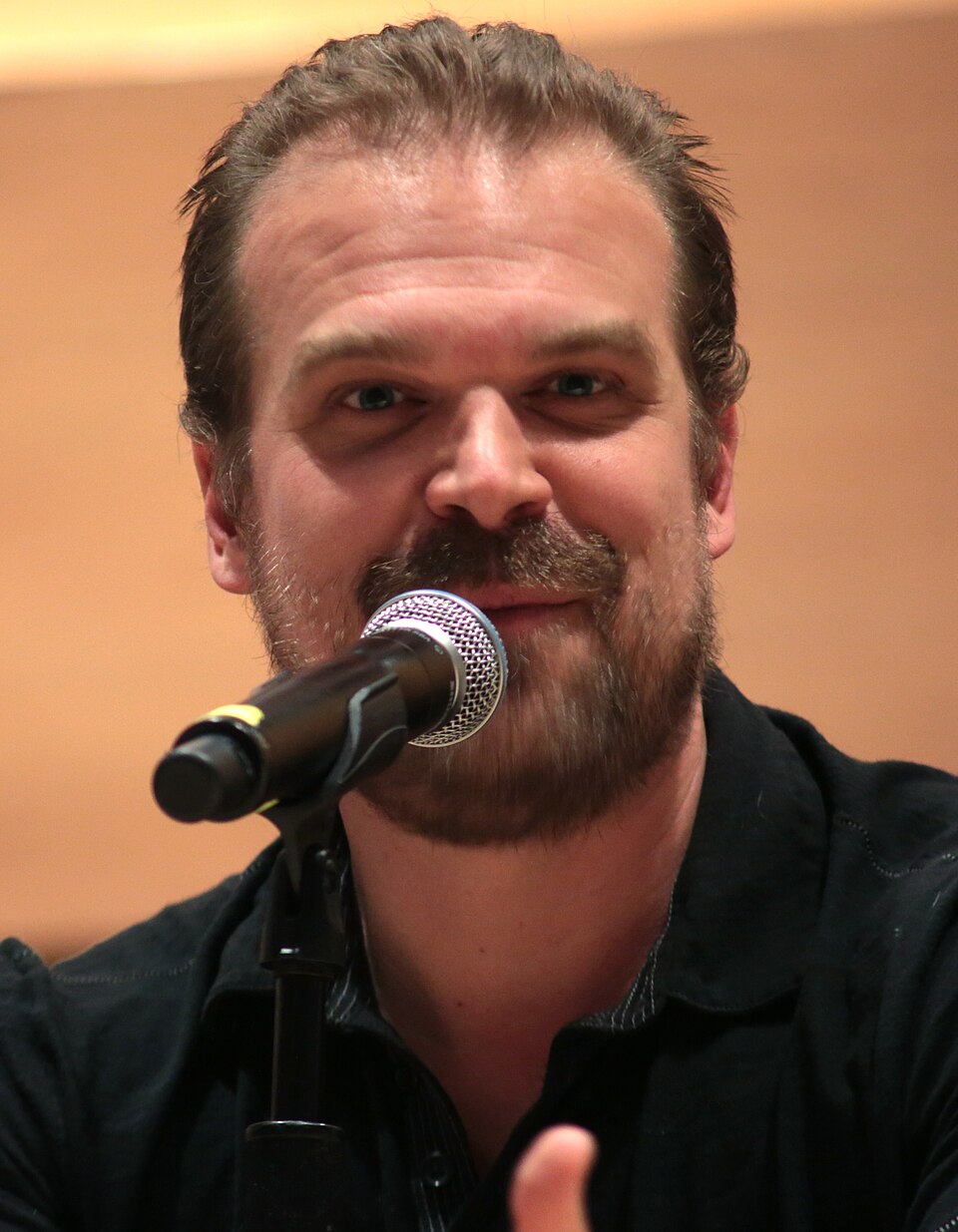 David Harbour 2016 (jung)