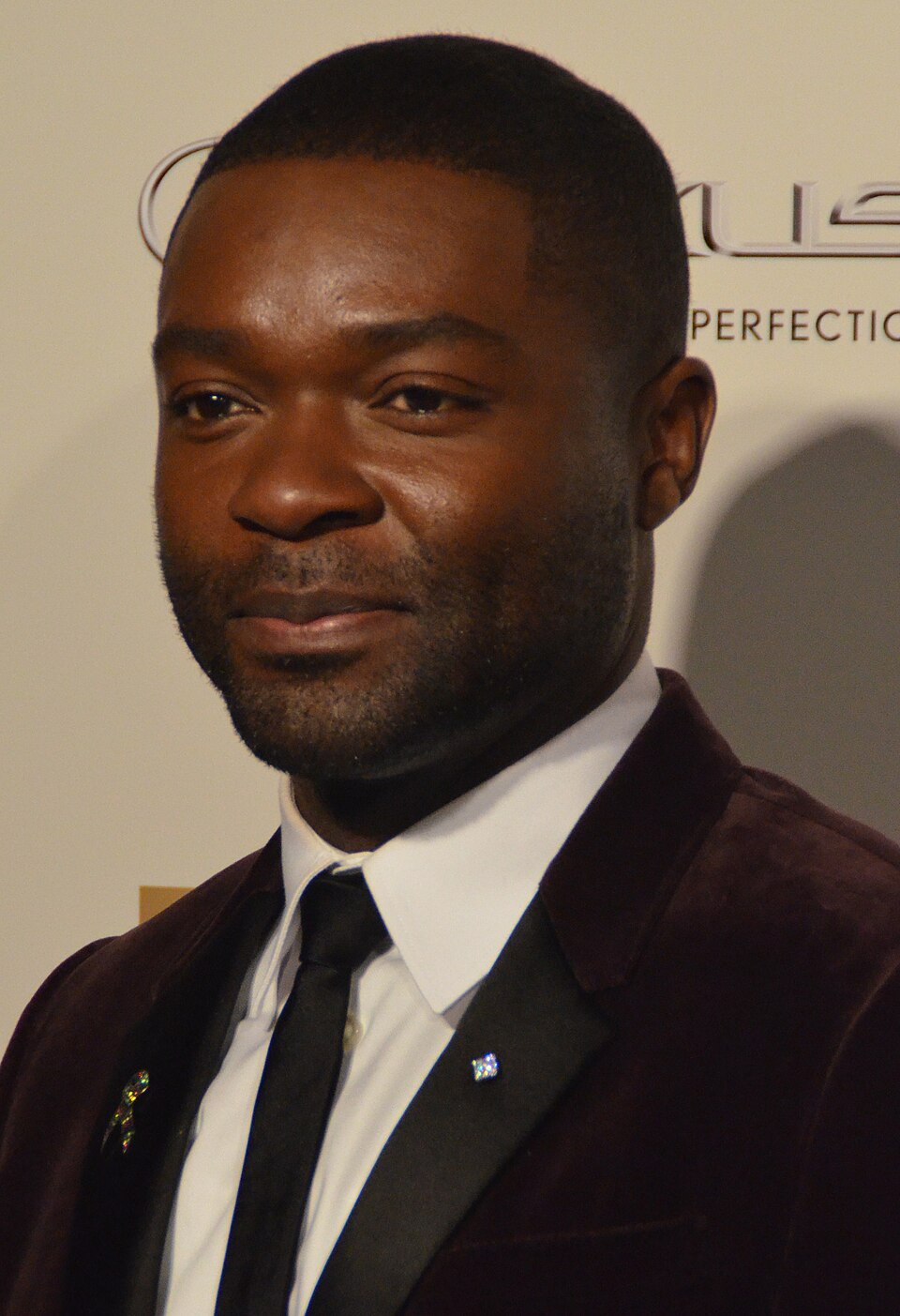 David Oyelowo 2015