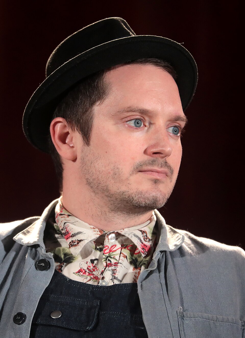 Elijah Wood 2019