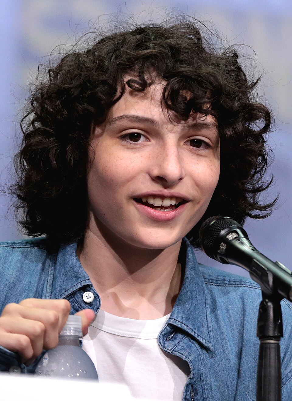 Finn Wolfhard 2017 (jung)