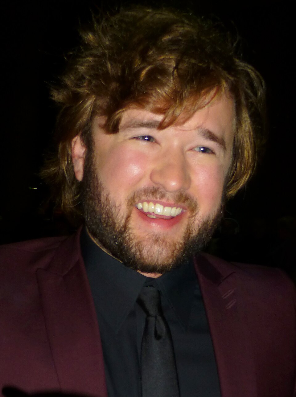 Haley Joel Osment 2014