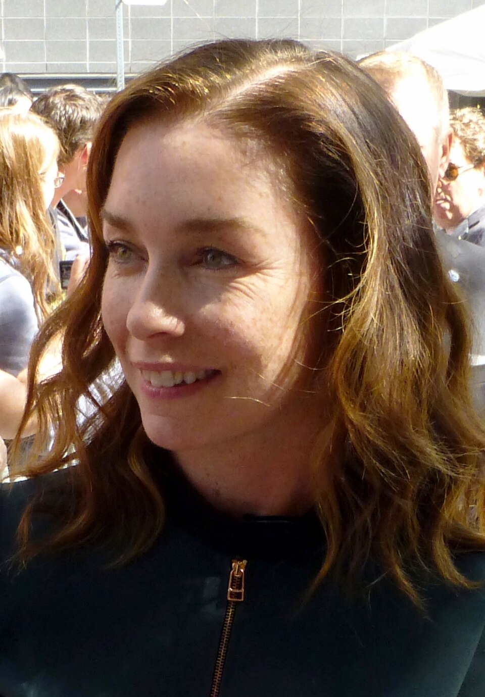 Julianne Nicholson 2015
