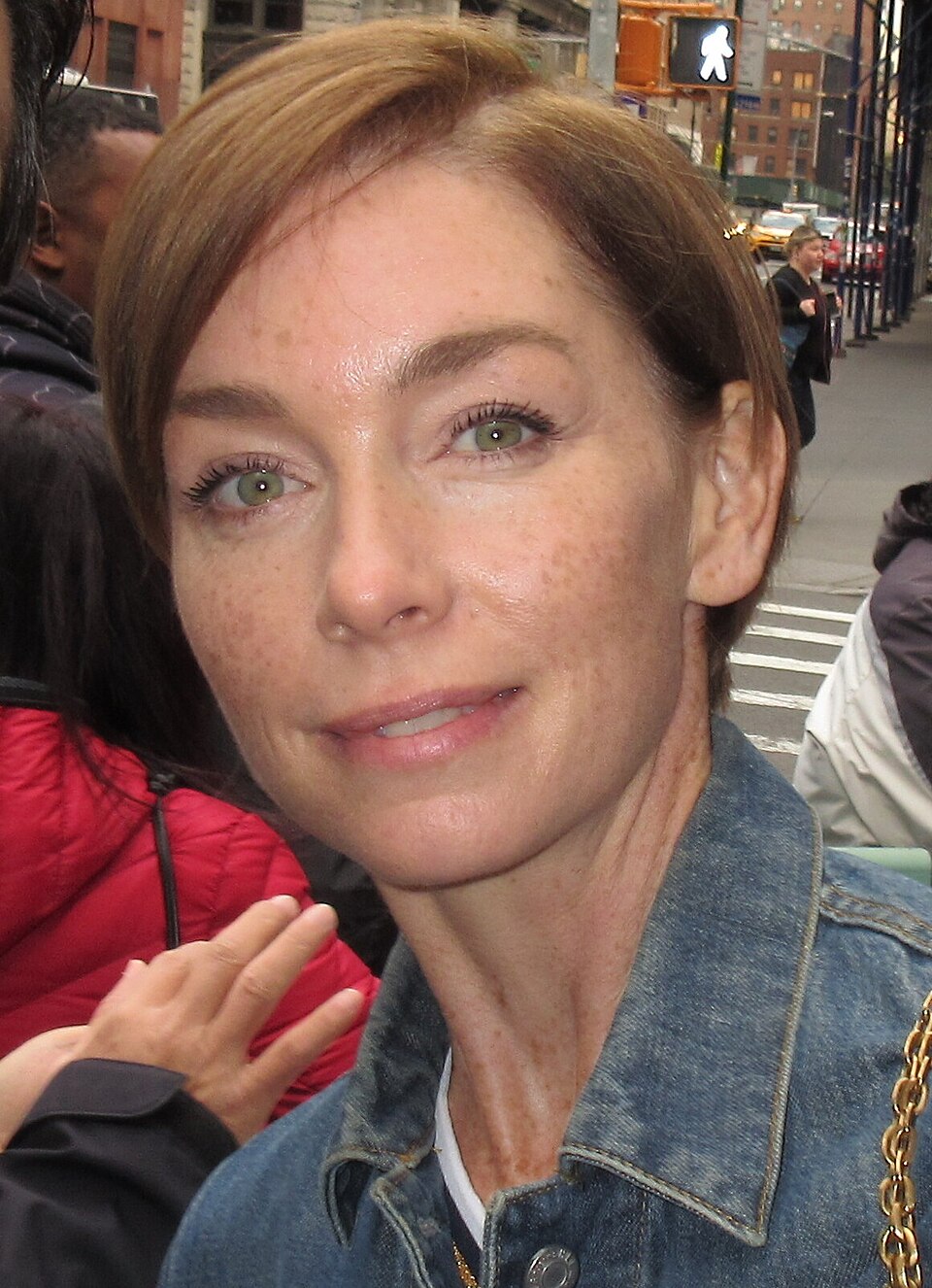 Julianne Nicholson 2017