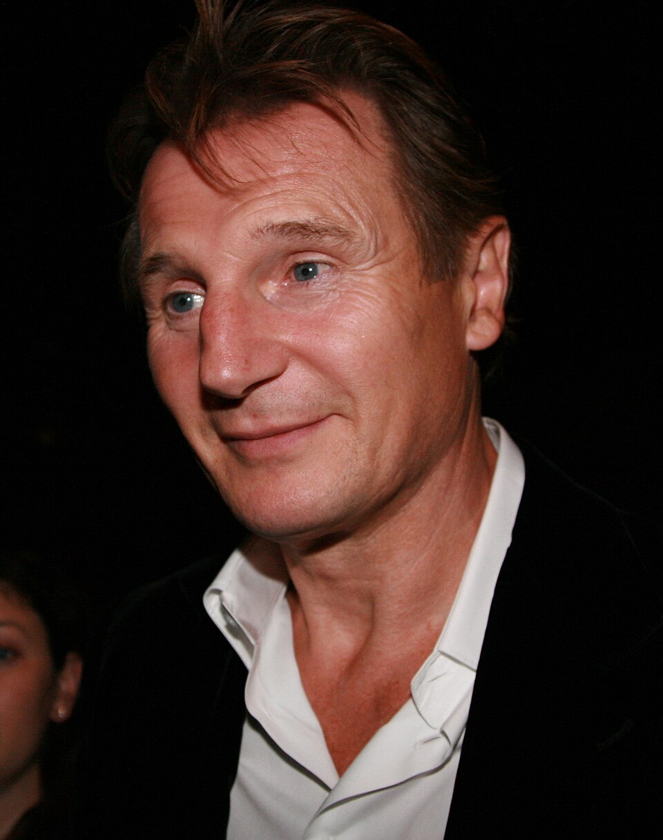 Liam Neeson 2008 (jung)