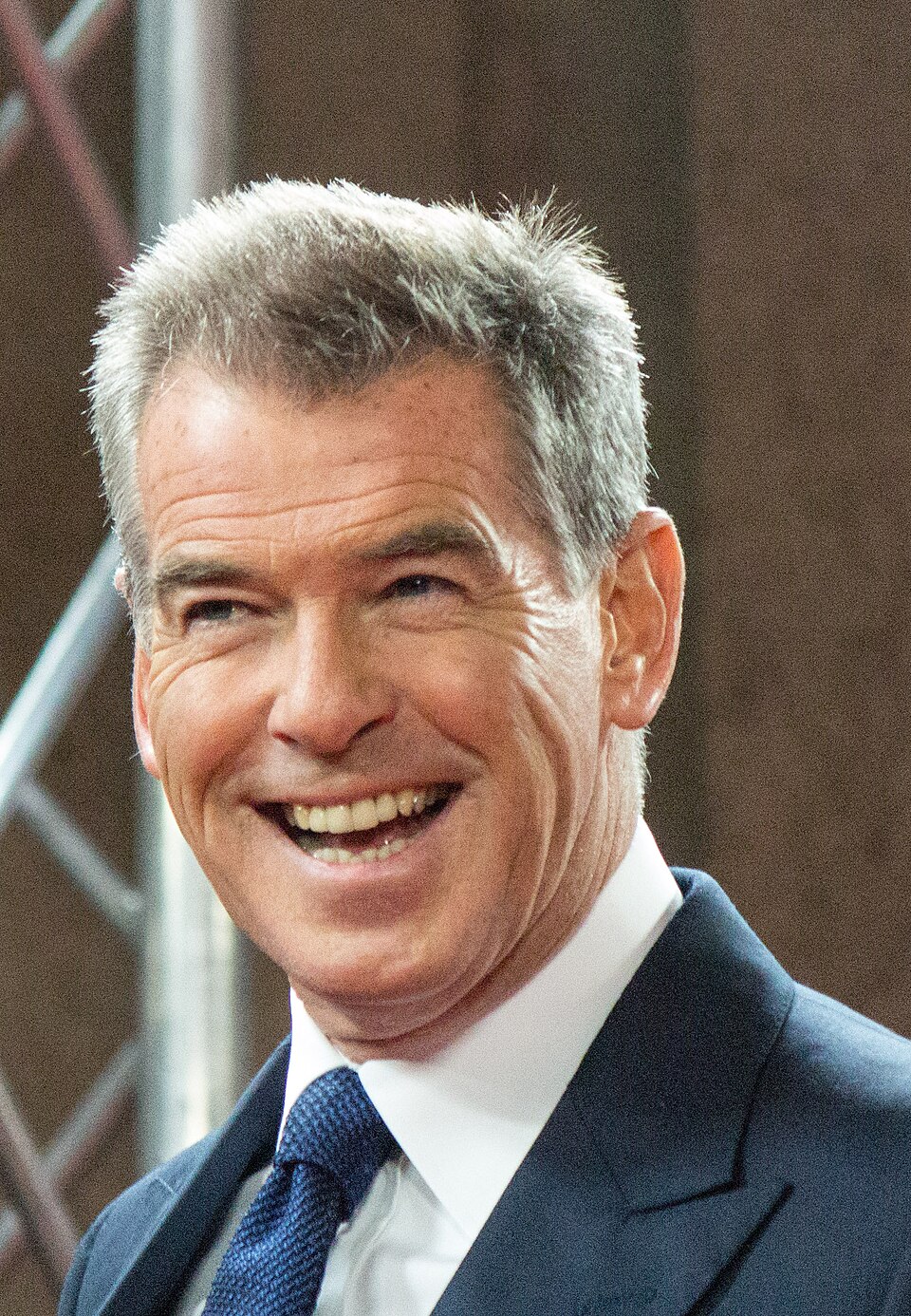 Pierce Brosnan 2014