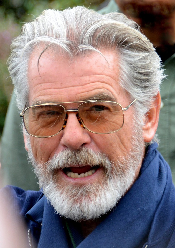 Pierce Brosnan 2019