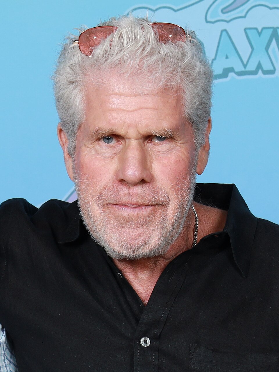 Ron Perlman 2025 (heute)