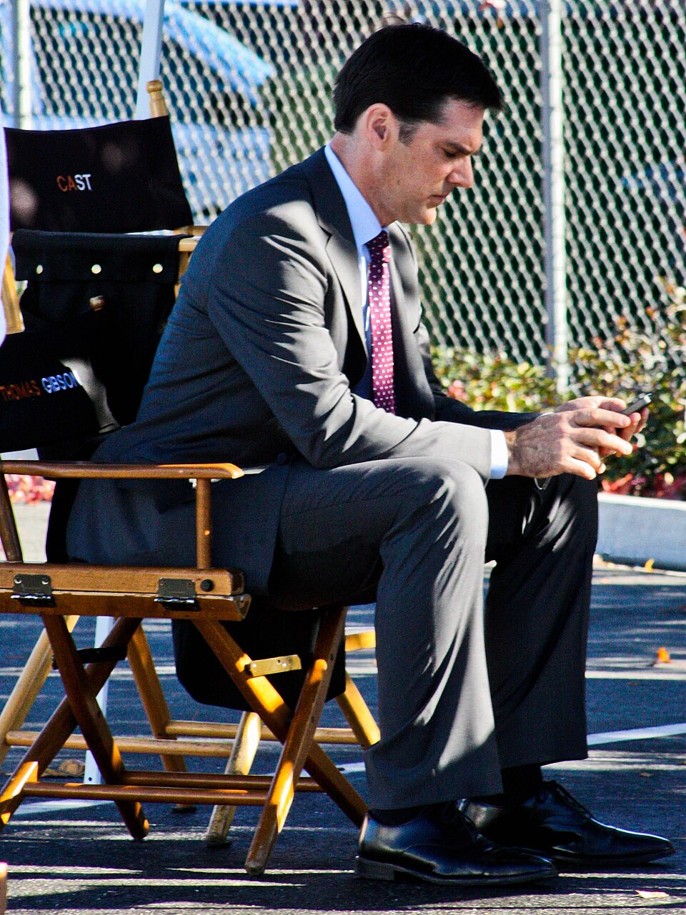 Thomas Gibson 2010