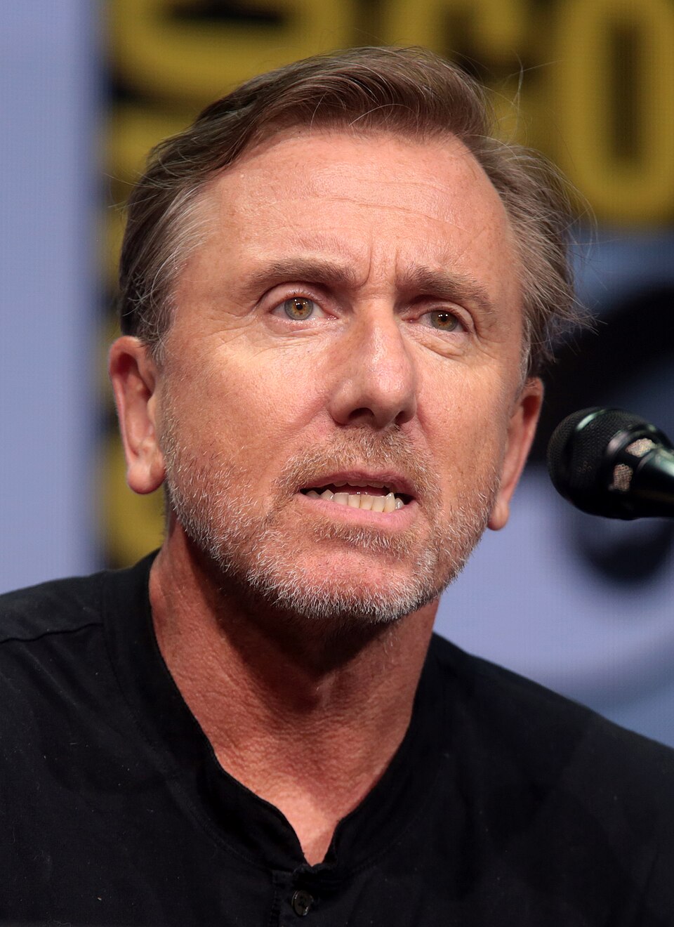Tim Roth 2017