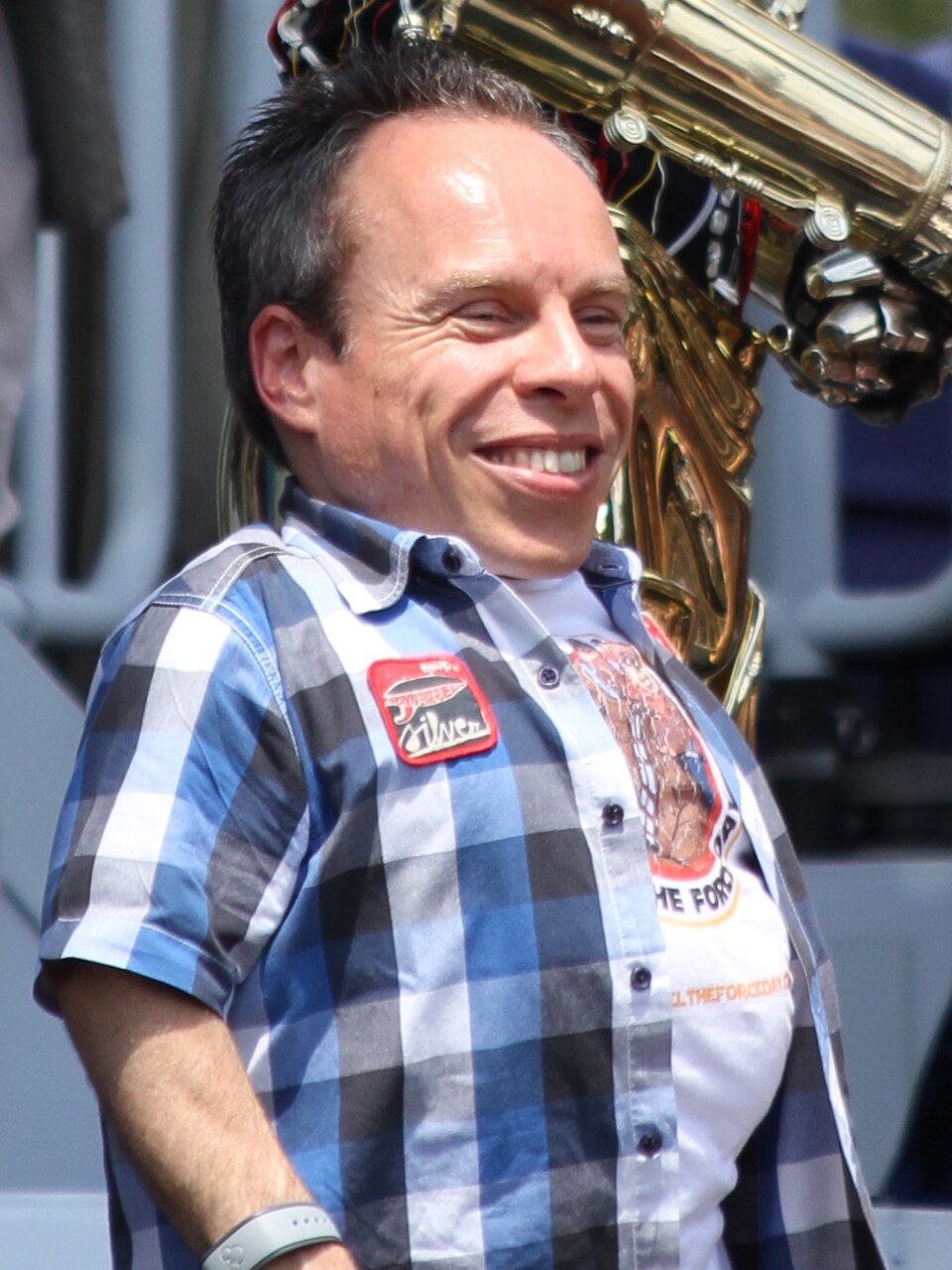 Warwick Davis 2014